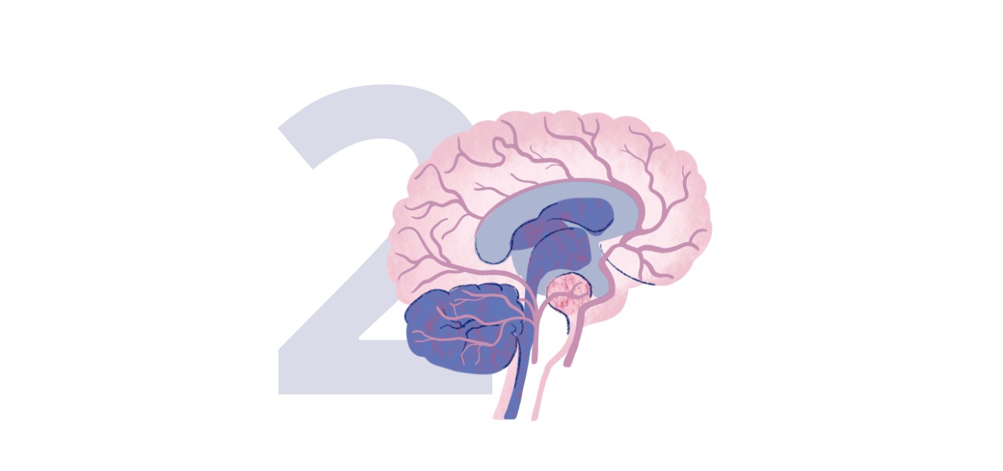 Doença cerebrovascular