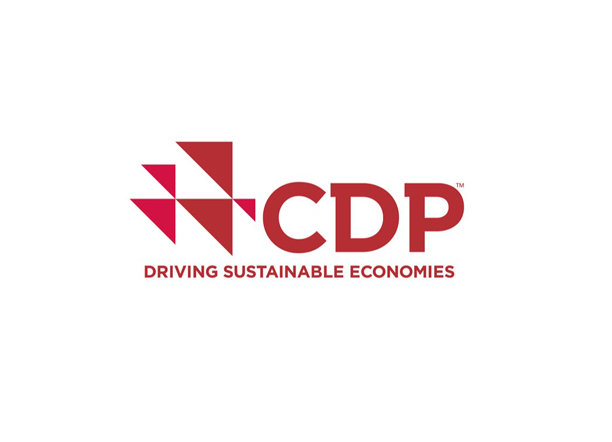 Logotipo da CDP Worldwide